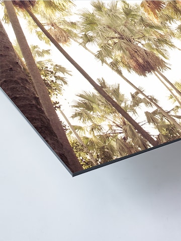 Liv Corday Bild  'Palm Tree' in Grau