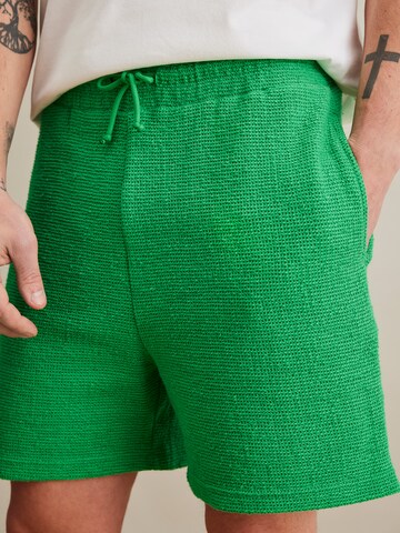 DAN FOX APPAREL Normalny krój Spodnie 'Jim' w kolorze zielony