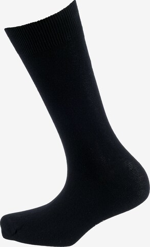 camano Socks in Grey