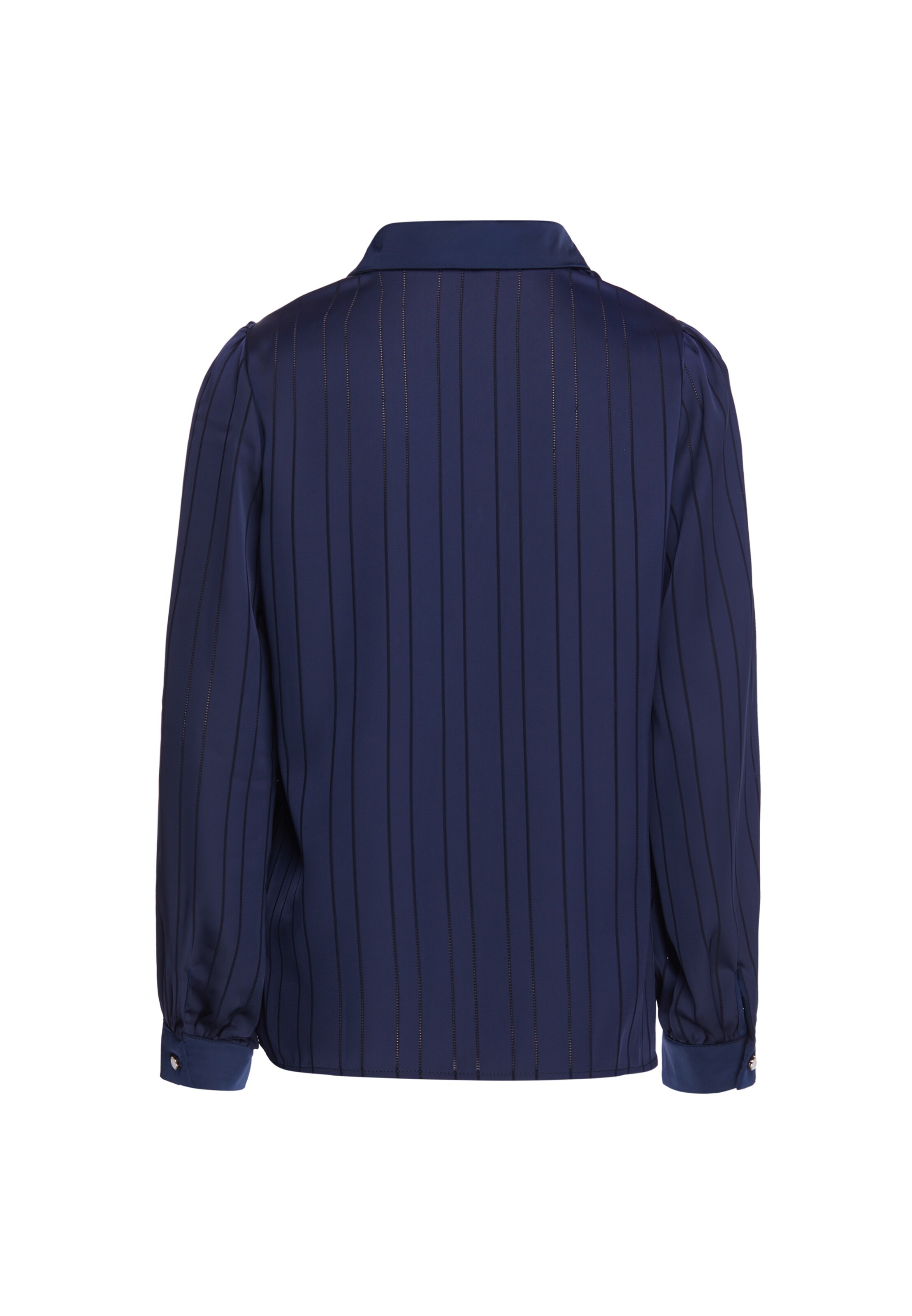 usha BLACK LABEL Blouse in Blauw