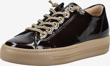 Sneaker bassa di Paul Green in marrone: frontale