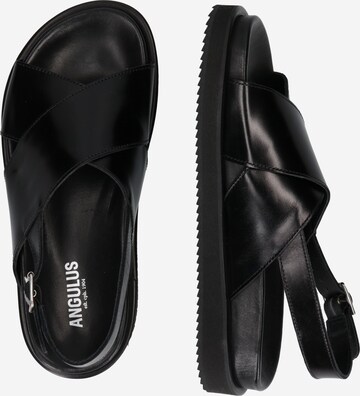 ANGULUS Sandals in Black