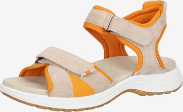 ARA Strap Sandals in Beige: front