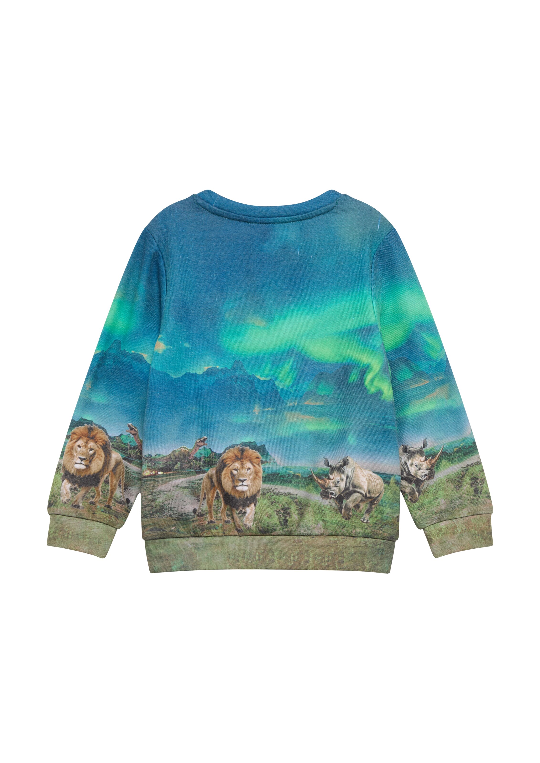 s.Oliver Sweatshirt in Blauw