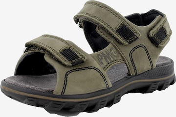 PRIMIGI Sandals & Slippers in Green: front
