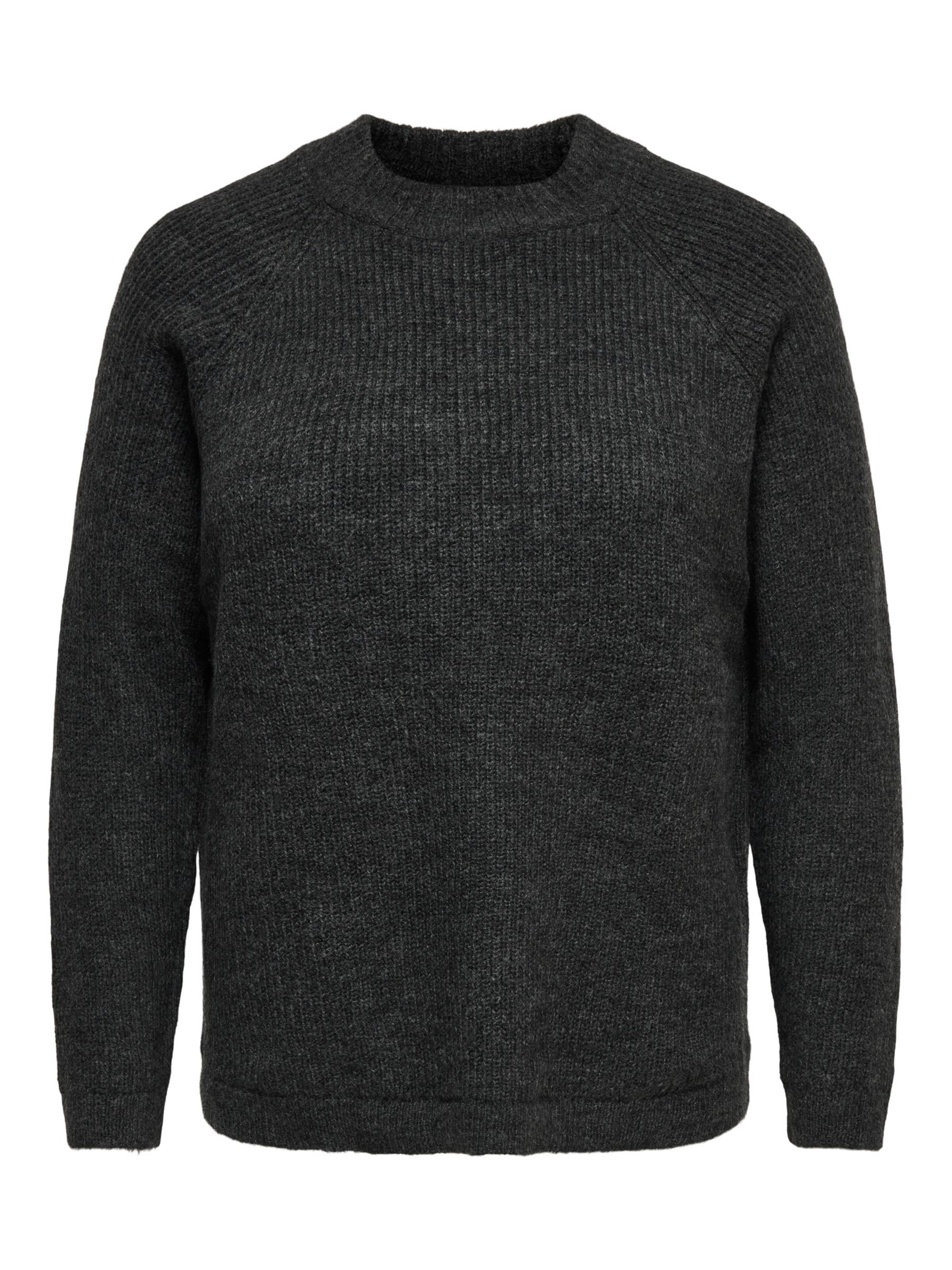 Pull-over 'CARJADE' ONLY Carmakoma en gris : devant