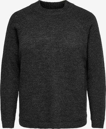 ONLY Carmakoma Trui 'CARJADE' in Grijs: voorkant