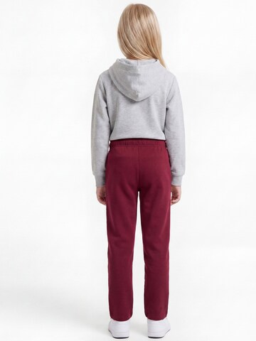 Champion Authentic Athletic Apparel Regular Hose in Rot