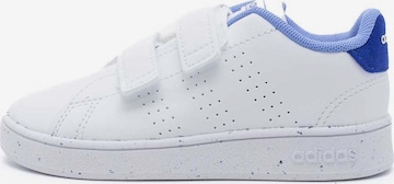 ADIDAS ORIGINALS Sneaker 'Advantage CF' in Weiß: Vorderseite