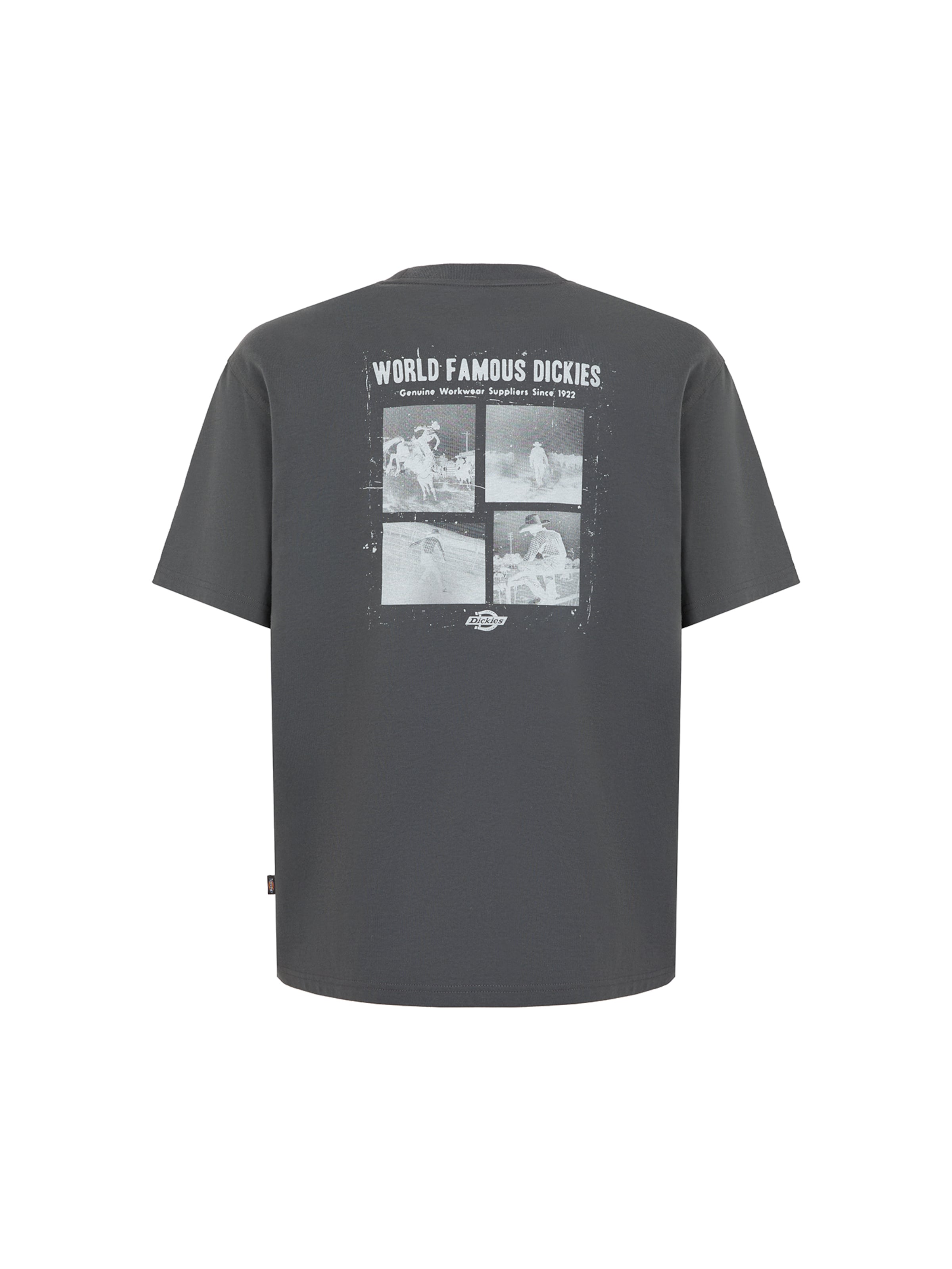 DICKIES Póló 'Wolfhurst' - szürke