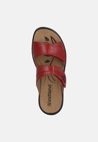 Westland Pantolette in Rot