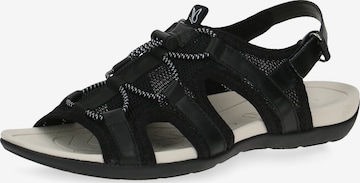 CAPRICE Hiking Sandals in Black