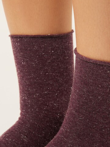 CALZEDONIA Socks in Red