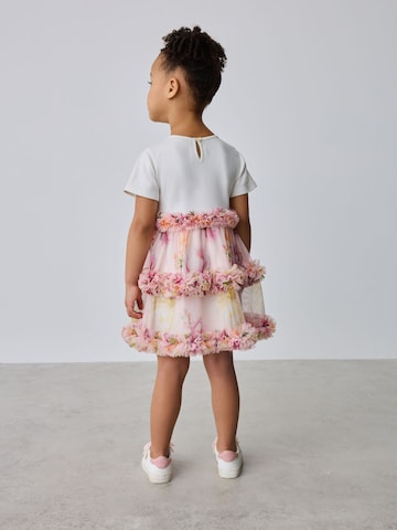 Baker by Ted Baker Dress in Pink