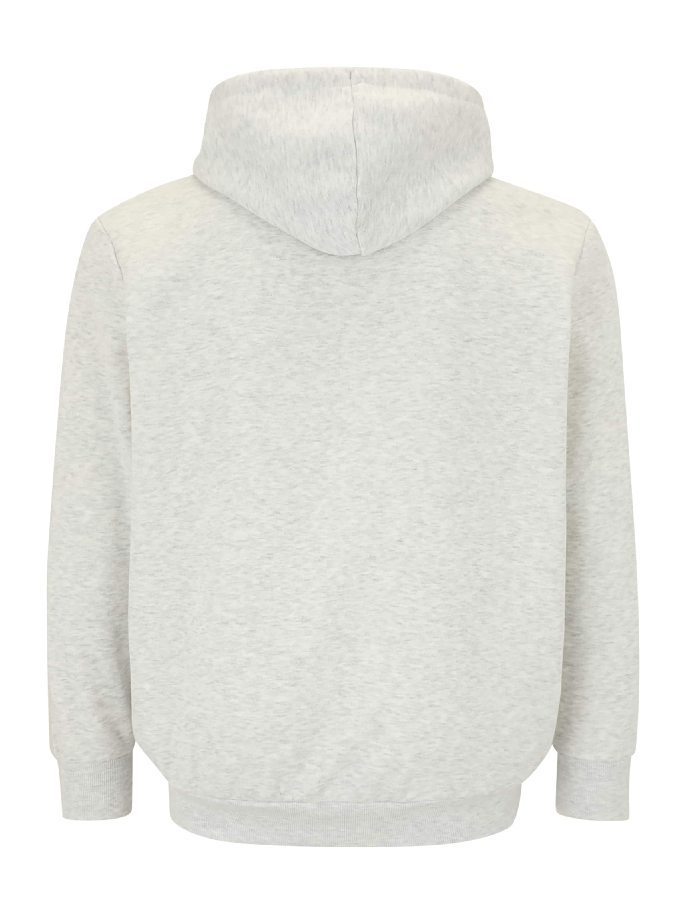 Jack & Jones Plus Свитшот 'JJPAN' в Белый