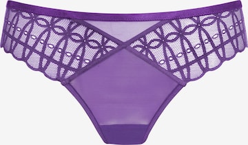 Slip 'Captivating' Mey en violet : devant