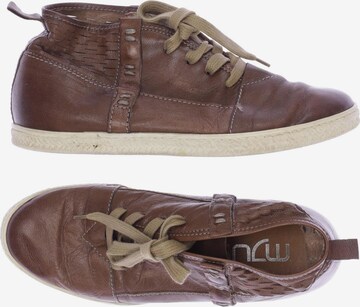 MJUS Sneakers & Trainers in 38 in Brown: front