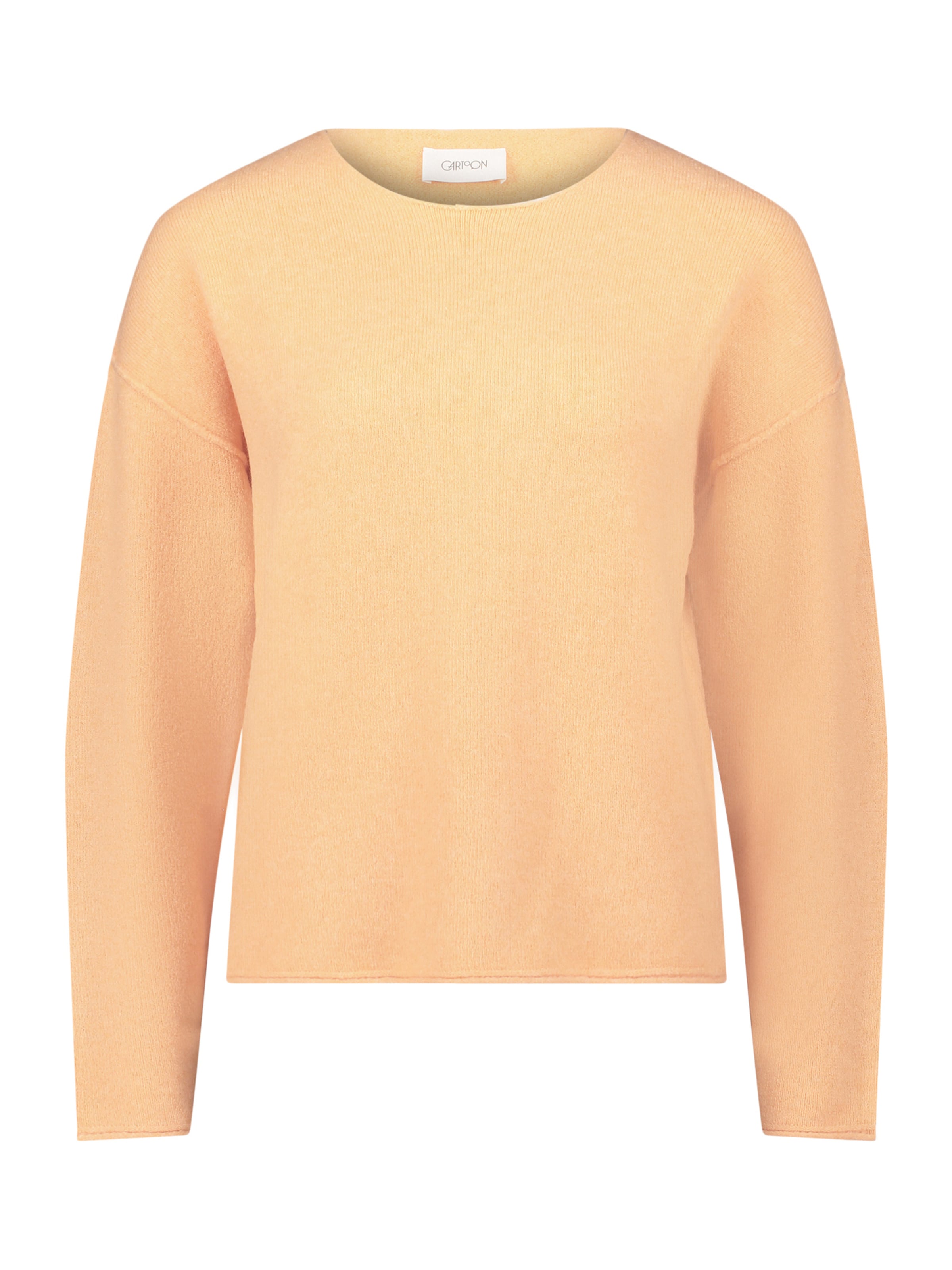 Cartoon Trui in Oranje: voorkant