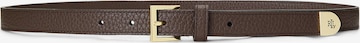 Lauren Ralph Lauren Belt in Brown: front