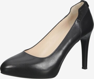 Nero Giardini Pumps in Zwart: voorkant