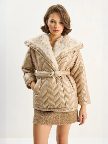 Bianco Lucci - Sobretudo de inverno 'Puffer- und Daunenmäntel' em bege