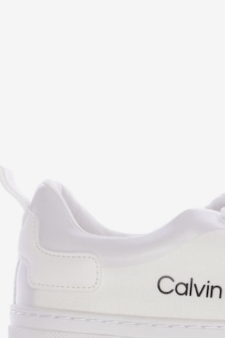Calvin Klein Jeans Sneakers & Trainers in 38 in White