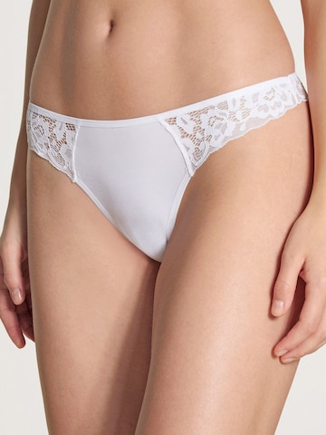 String CALIDA en blanc : devant