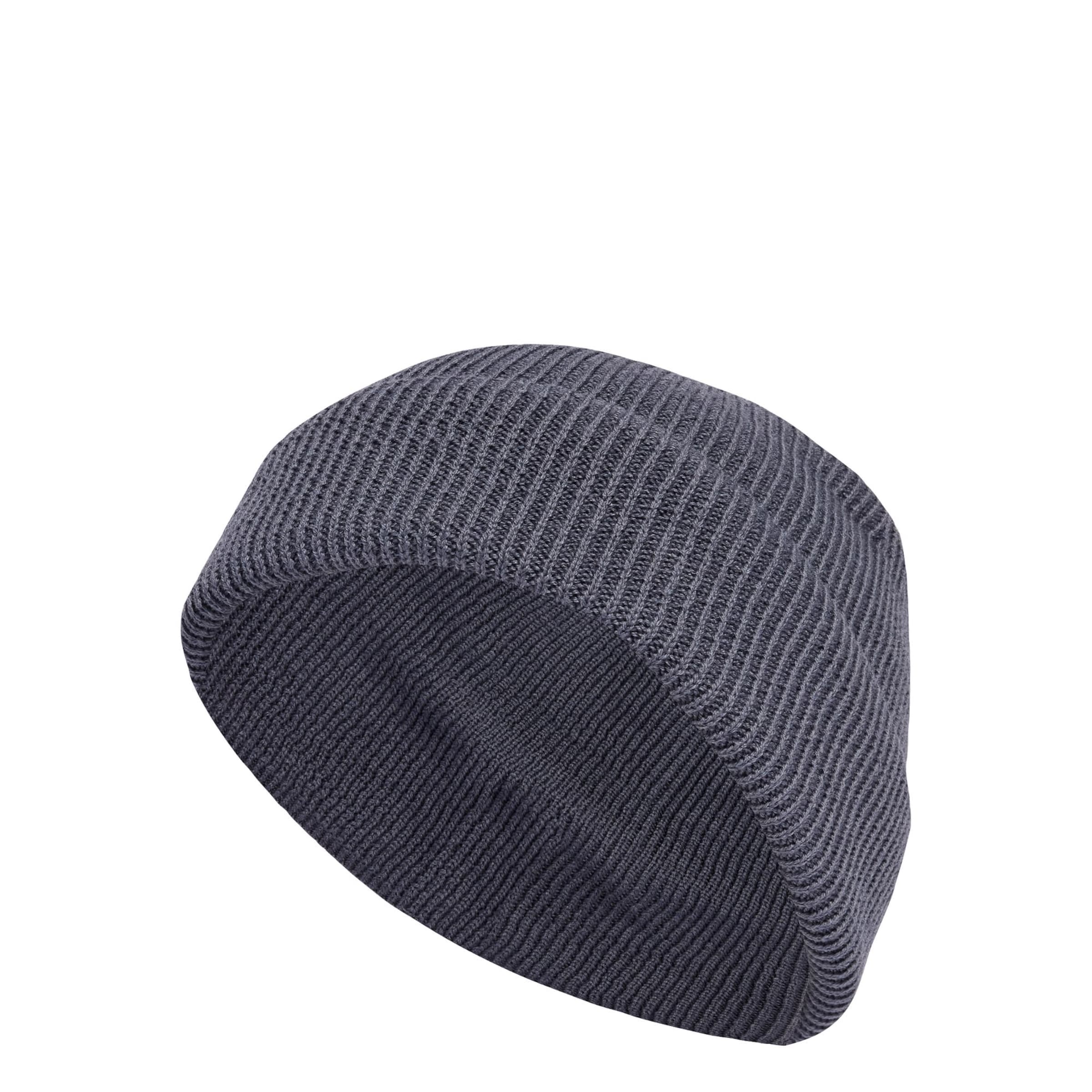 ADIDAS TERREX - Gorro deportivo 'Xploric' en gris: frente