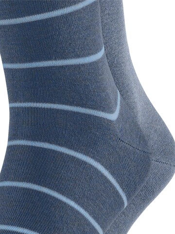 ESPRIT Socks 'Modern Stripe 2-Pack' in Blue