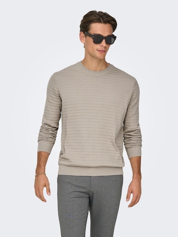 Only & Sons - Jersey 'ONSBerry' en gris: frente