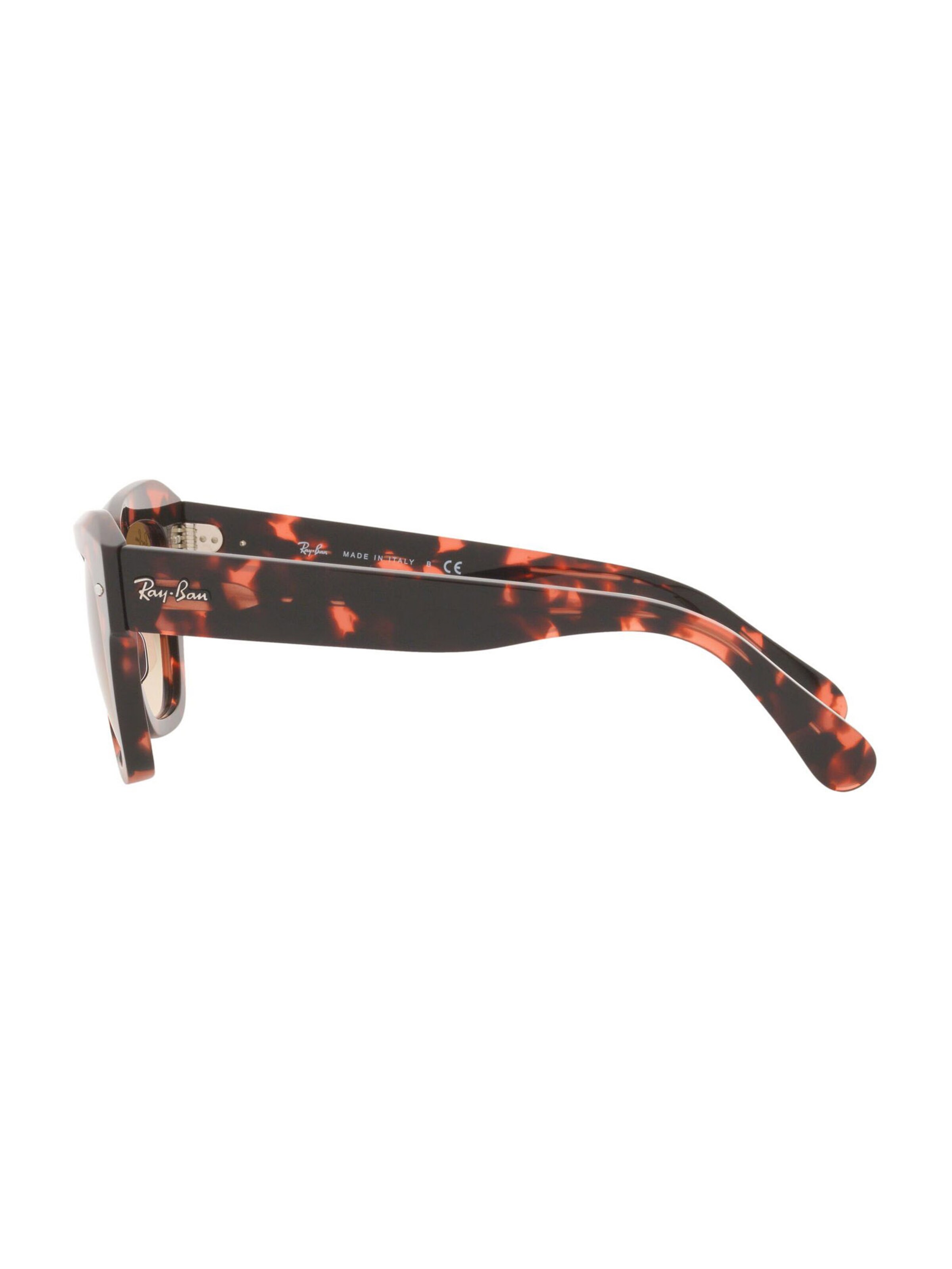 Ray-Ban Zonnebril in Bruin
