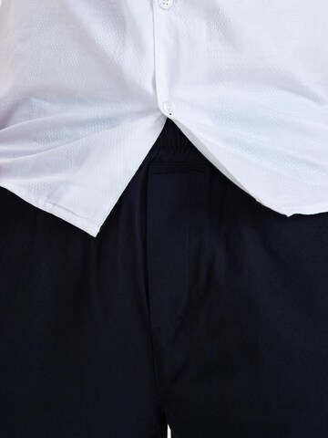 Dxnmxrk Regular Hose 'DXElaf' in Blau