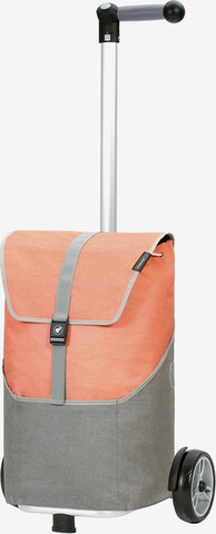 Andersen Shopper Trolley in Oranje: voorkant