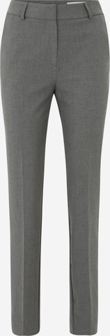 Selected Femme Tall Slimfit Hose 'RIA' in Grau: predná strana