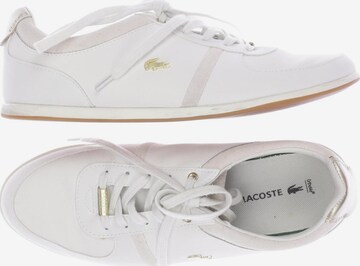 LACOSTE Shoes for women Buy online ABOUT YOU
