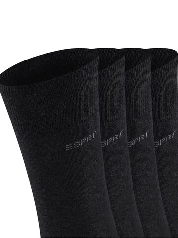 ESPRIT Socken 'Solid 4-Pack'‌‌‌‌‌‌‌‌‌ in Schwarz