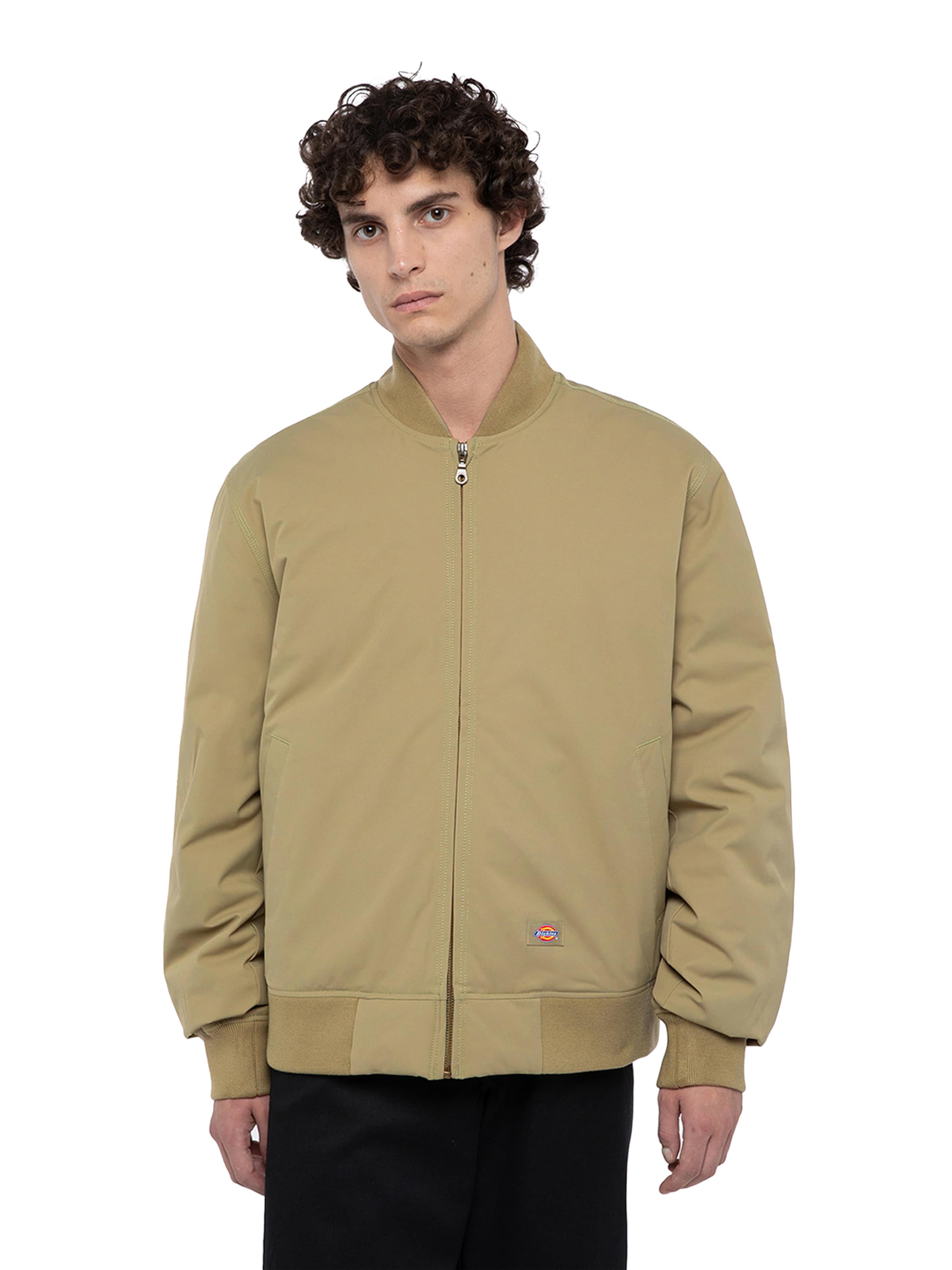 DICKIES Kurtka przejściowa w kolorze zielony: przód