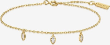 ANIA HAIE Armband in Gold: Vorderseite