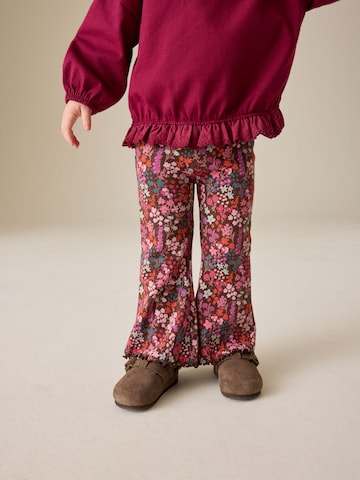 Flared Pantaloni di Next in marrone: frontale