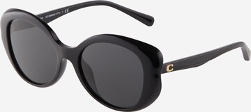 Lunettes de soleil '0HC8306U' COACH en noir : devant