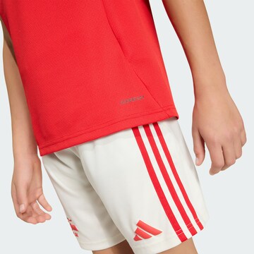 ADIDAS PERFORMANCE Performance Shirt 'Union Berlin 2025/2026' in Red