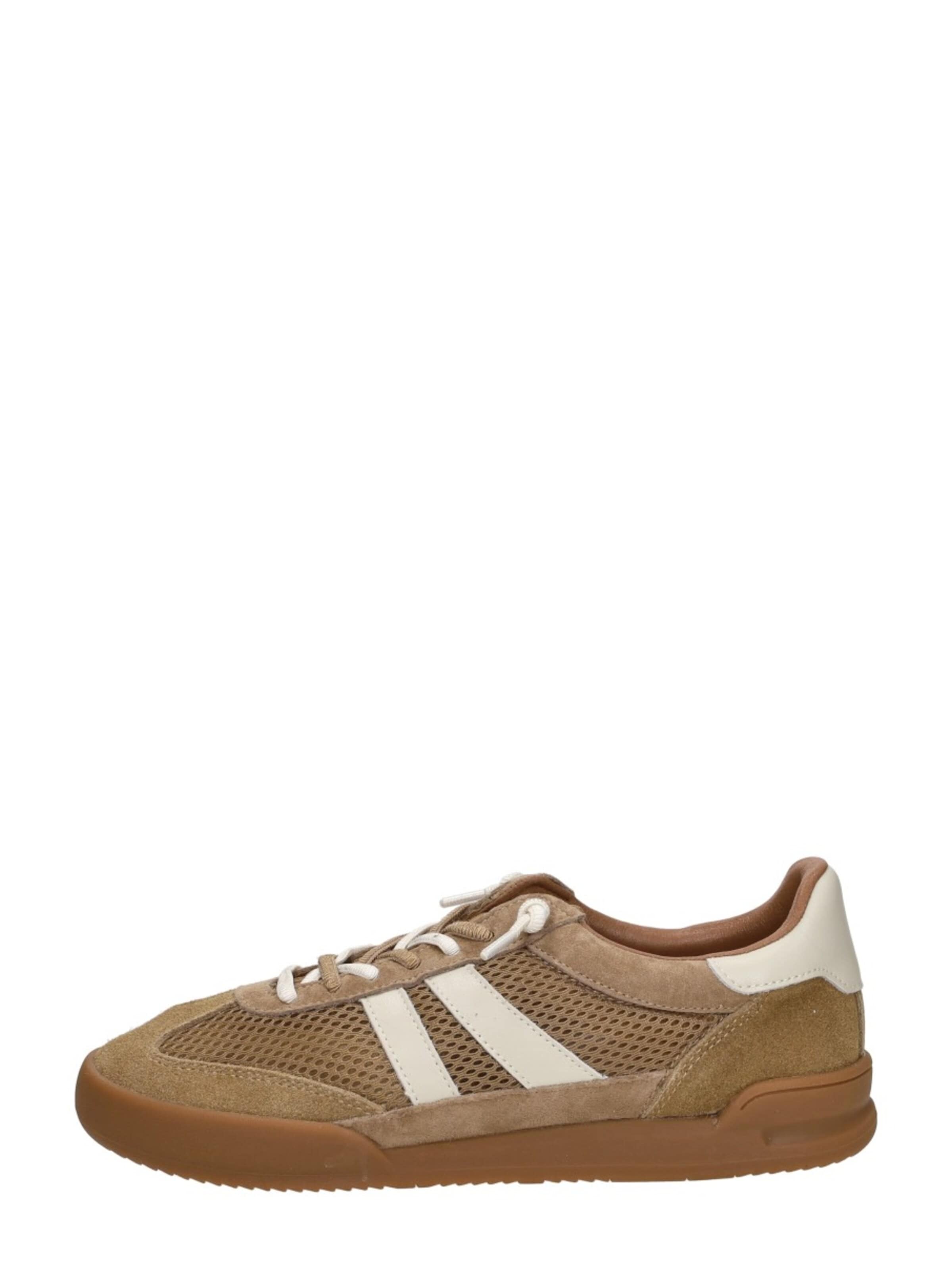 STEVE MADDEN Sneakers 'Verdict' in Brown: front
