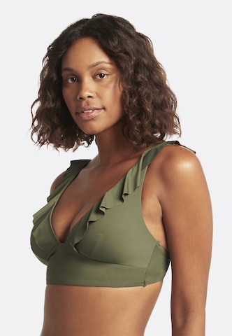 SEA LEVEL Triangel Bikinitop 'Essentials' in Grün: Vorderseite