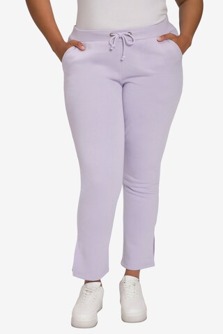 Ulla Popken Regular Pants in Purple: front