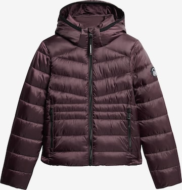 Veste d’hiver 'Fuji' Superdry en violet : devant