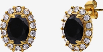 Lucardi Earrings in Gold: front