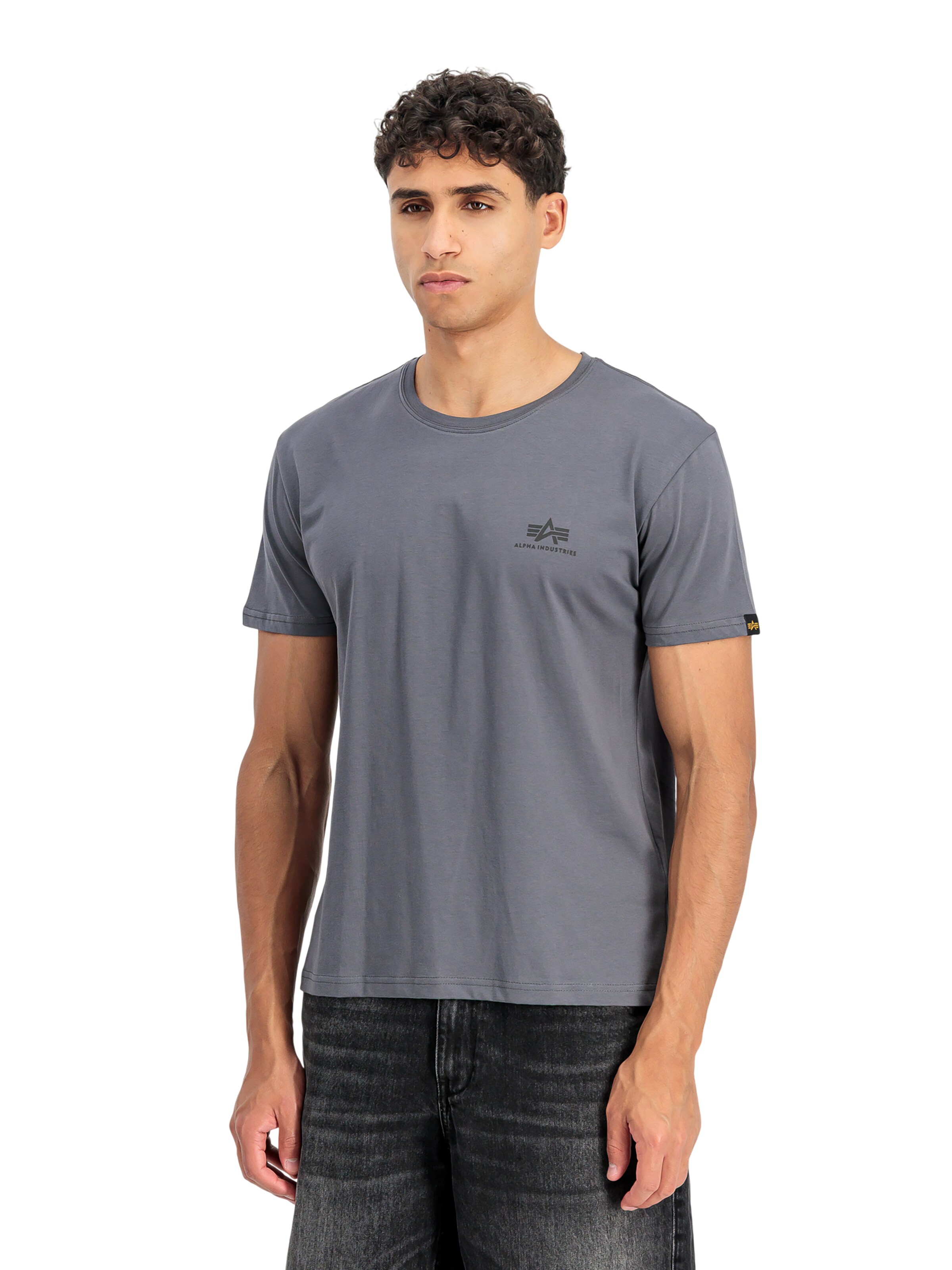ALPHA INDUSTRIES Shirt 'Basic Small Logo'‌‌‌‌‌‌‌‌ in Grau: Vorderseite
