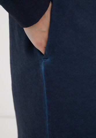 Finn Flare Dress in Blue