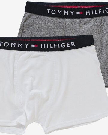 Tommy Hilfiger Underwear Regular Onderbroek in Grijs