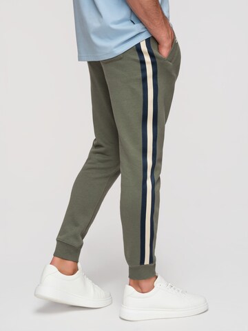 Ombre Regular Chino Pants in Green